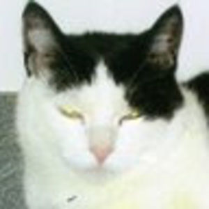 Meet your Posher, Jeanne